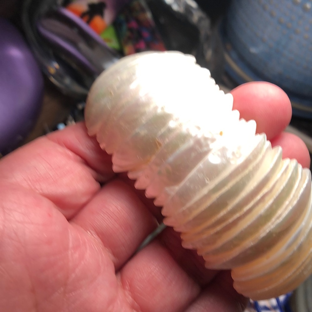 Unique Shell Statement Bracelet - image 4